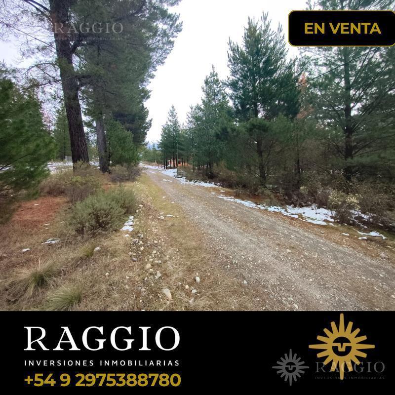 Foto de Terreno 750 M2 - Epuyen | Chubut, imagen 3