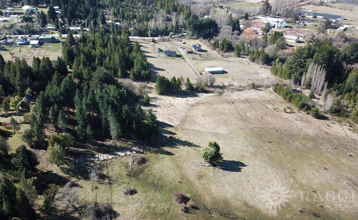 Foto de Chacra de 2,9ha sobre Callejón de La Cruz (adoquinado), Las, imagen 2