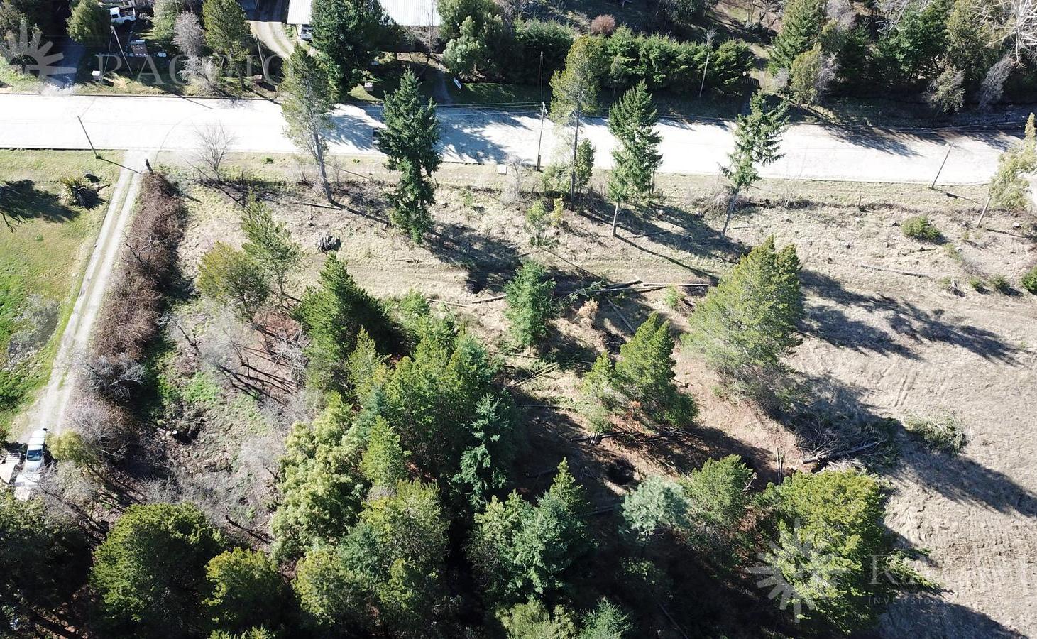 Foto de Chacra de 2,9ha sobre Callejón de La Cruz (adoquinado), Las, imagen 3