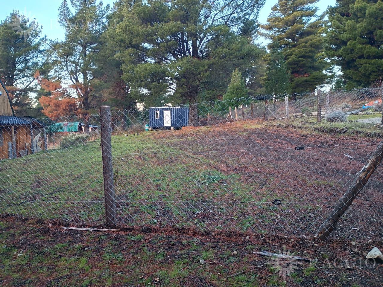 Foto de Lote de 775 m2 y contenedor casa de, imagen 5