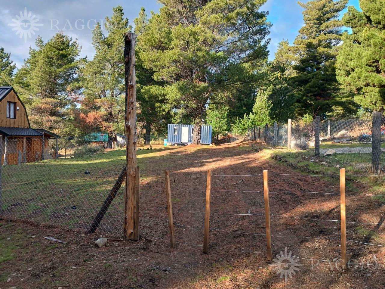 Foto de Lote de 775 m2 y contenedor casa de, imagen 2