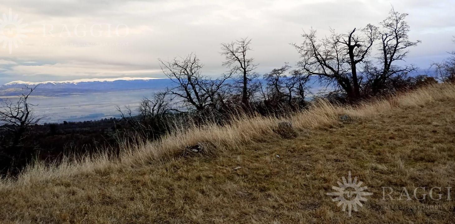 Foto de 4 Hectáreas en Trevelin, Chubut (GC-02), imagen 3