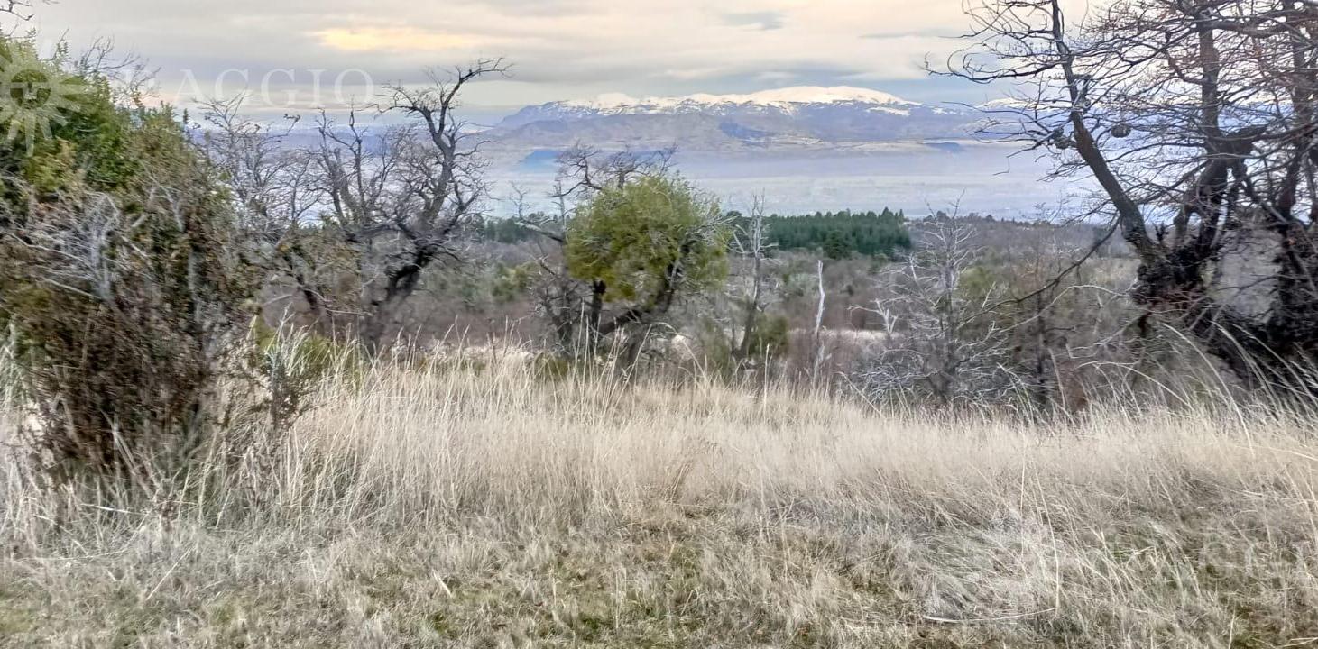Foto de 4 Hectáreas en Trevelin, Chubut (GC-02), imagen 1
