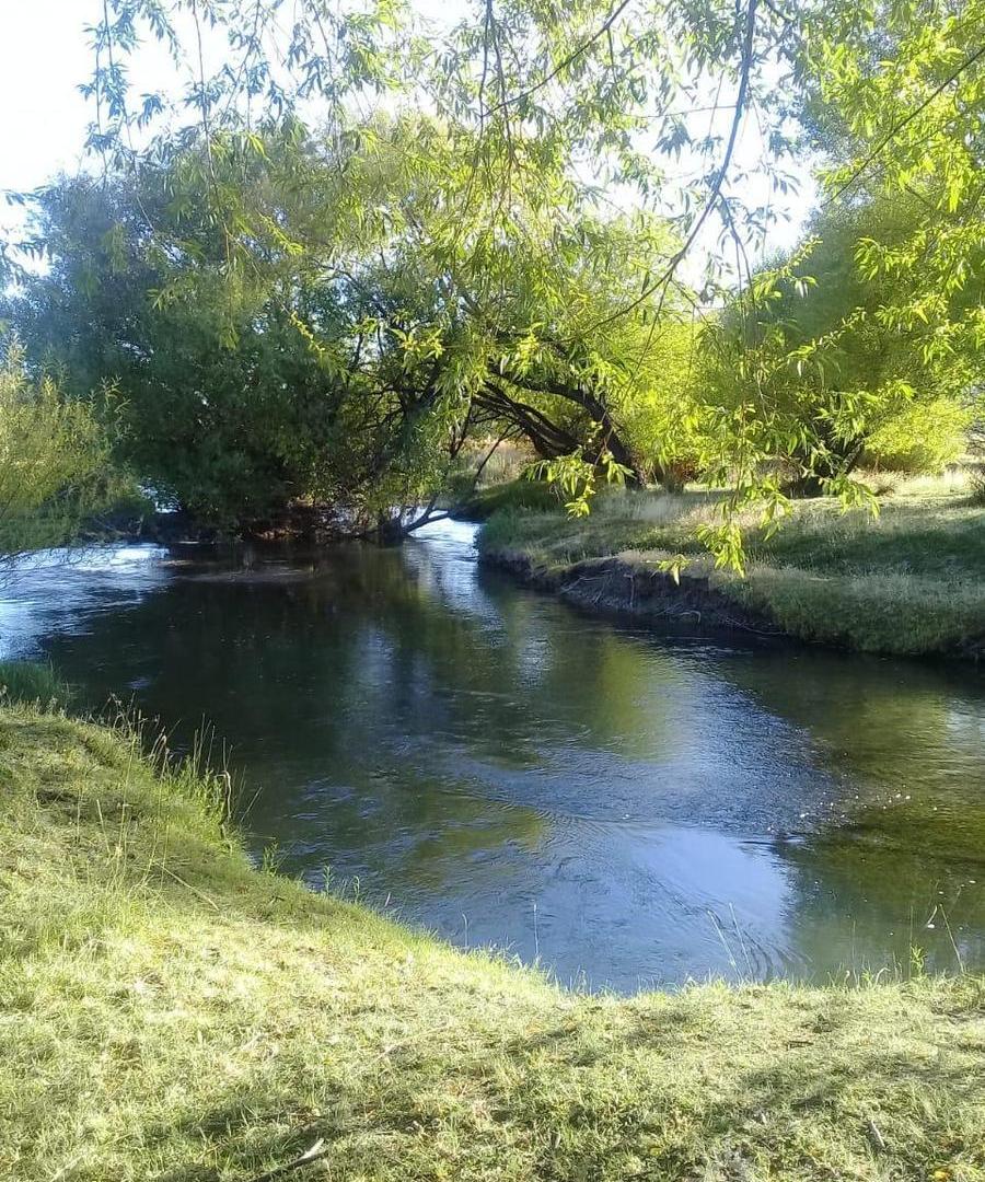 Foto de Campo en Gualjaina, imagen 4