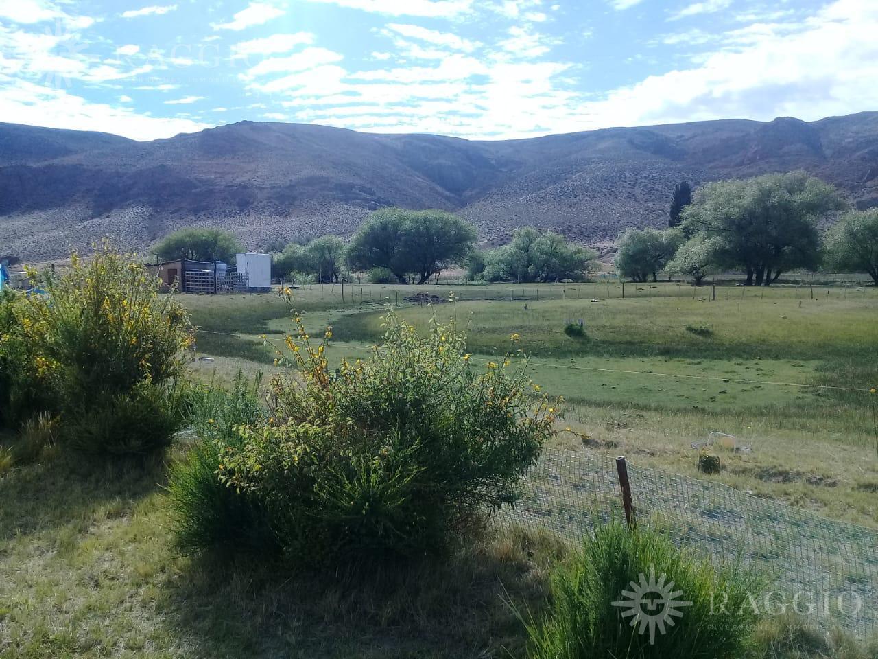 Foto de Campo en Gualjaina, imagen 2