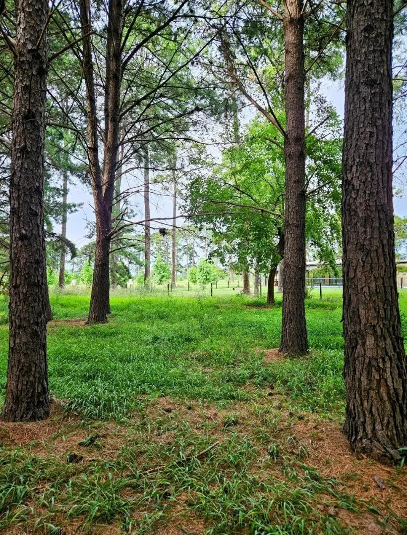 Venta Lote/Terreno en Los Pinares Exaltacion de la Cruz 5