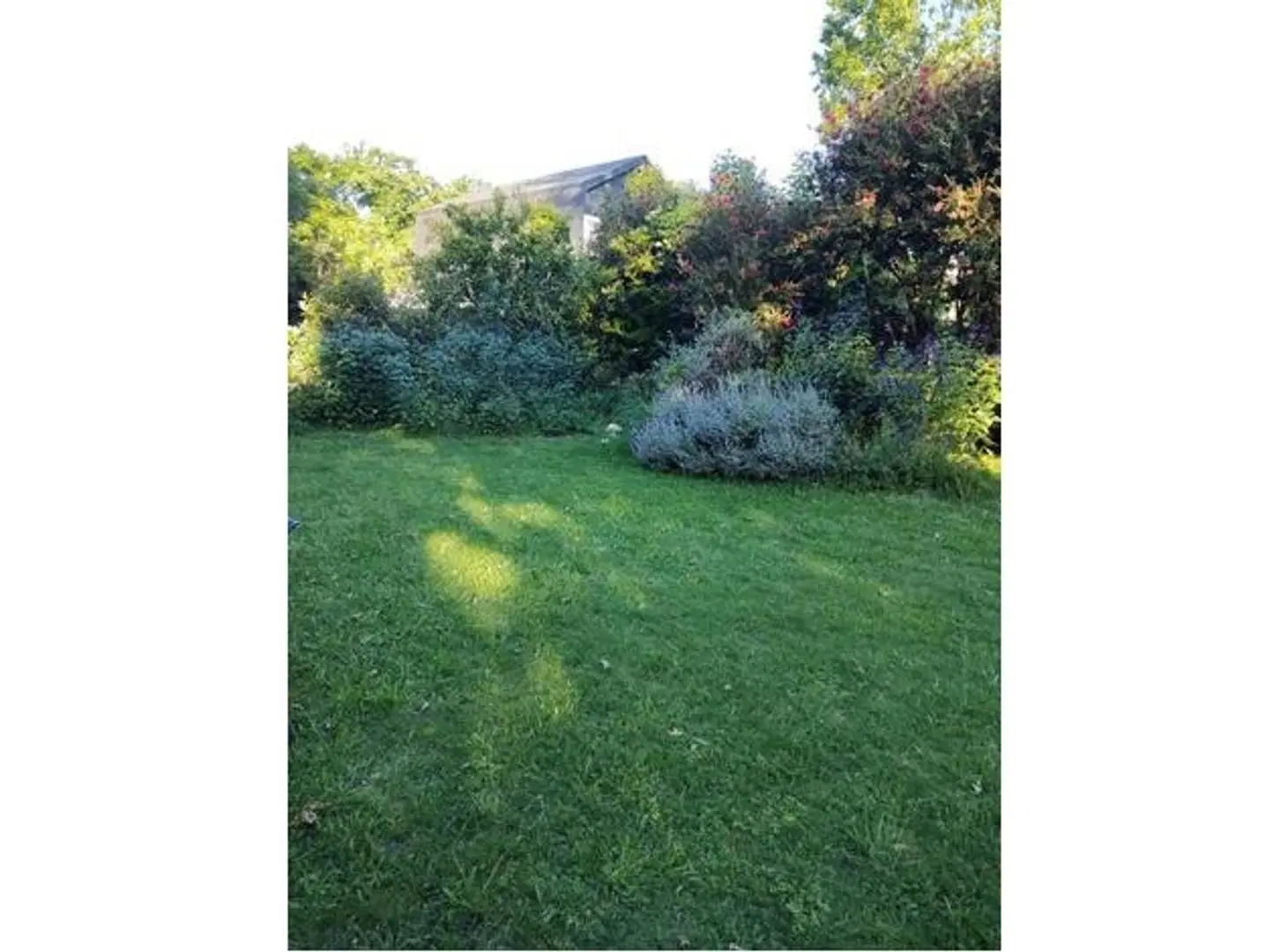 Terreno en Venta en Los Troncos CC. La Lonja Pilar 2