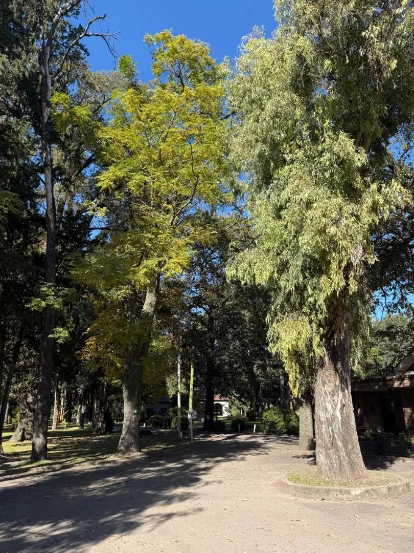 Terreno en Venta en Los Troncos CC. La Lonja Pilar 8