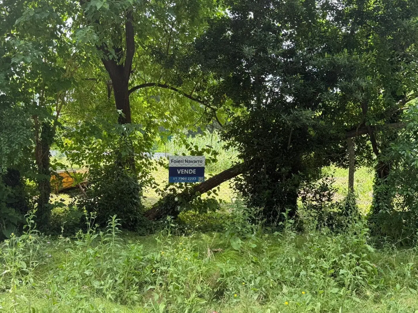 Terreno Comercial /Residencial Sobre Calle Florida, Del Viso 1