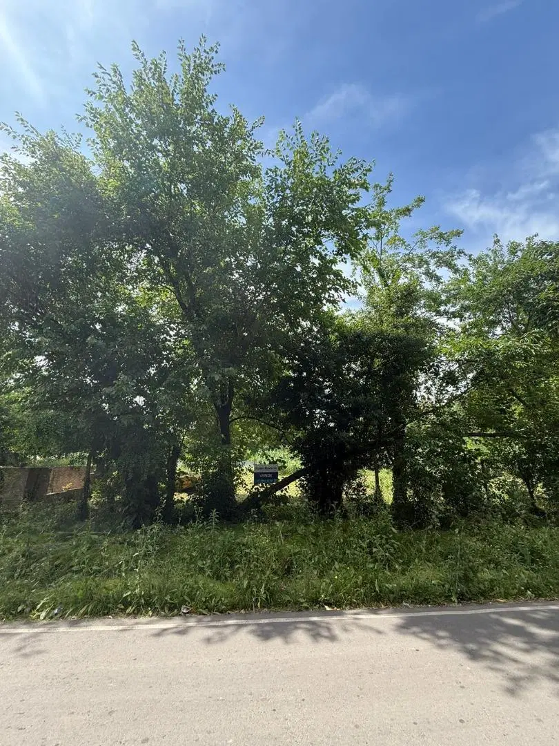 Terreno Comercial /Residencial Sobre Calle Florida, Del Viso 2