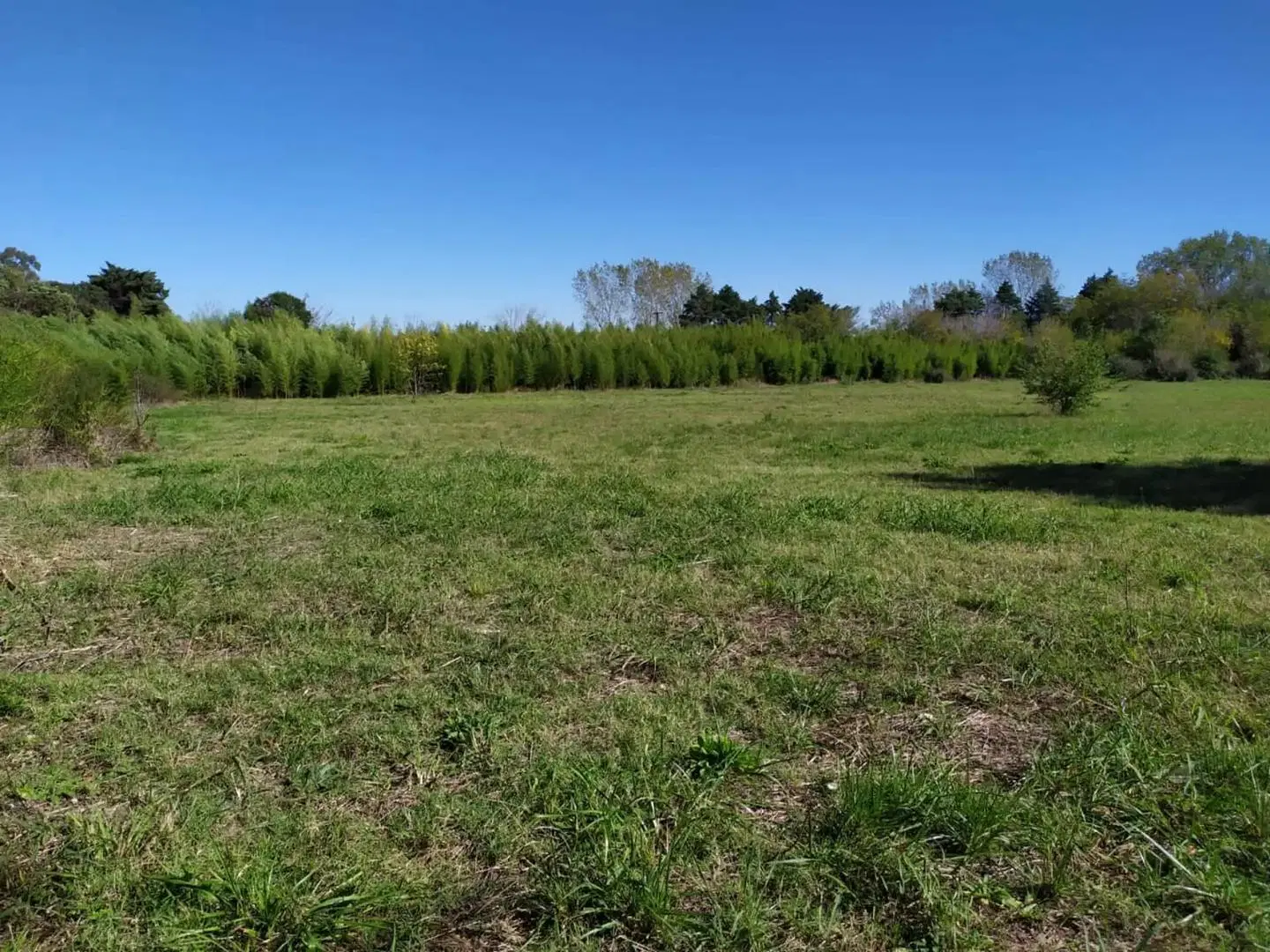 Pilar. Terreno 150m x 100m. 1.5Has. CR1. Apto Loteo. 2