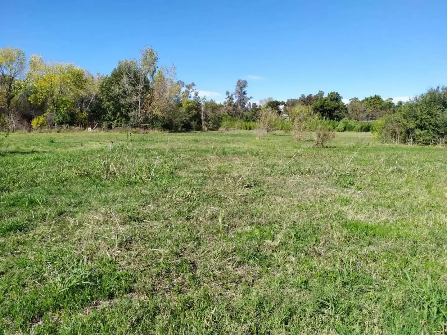 Pilar. Terreno 150m x 100m. 1.5Has. CR1. Apto Loteo. 1