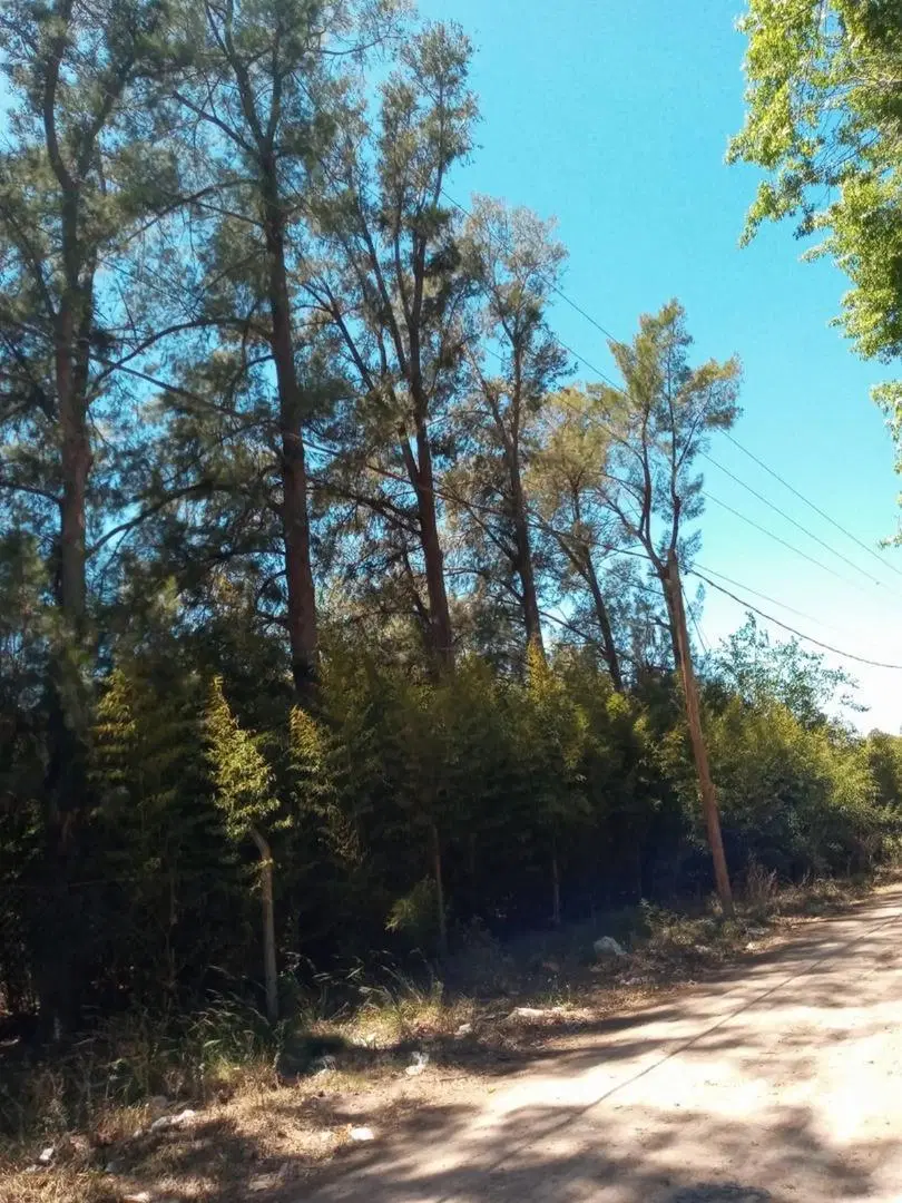 Terreno de 2800 m² - Calle E. Calcagno - a 150 m de Lagoon P 1