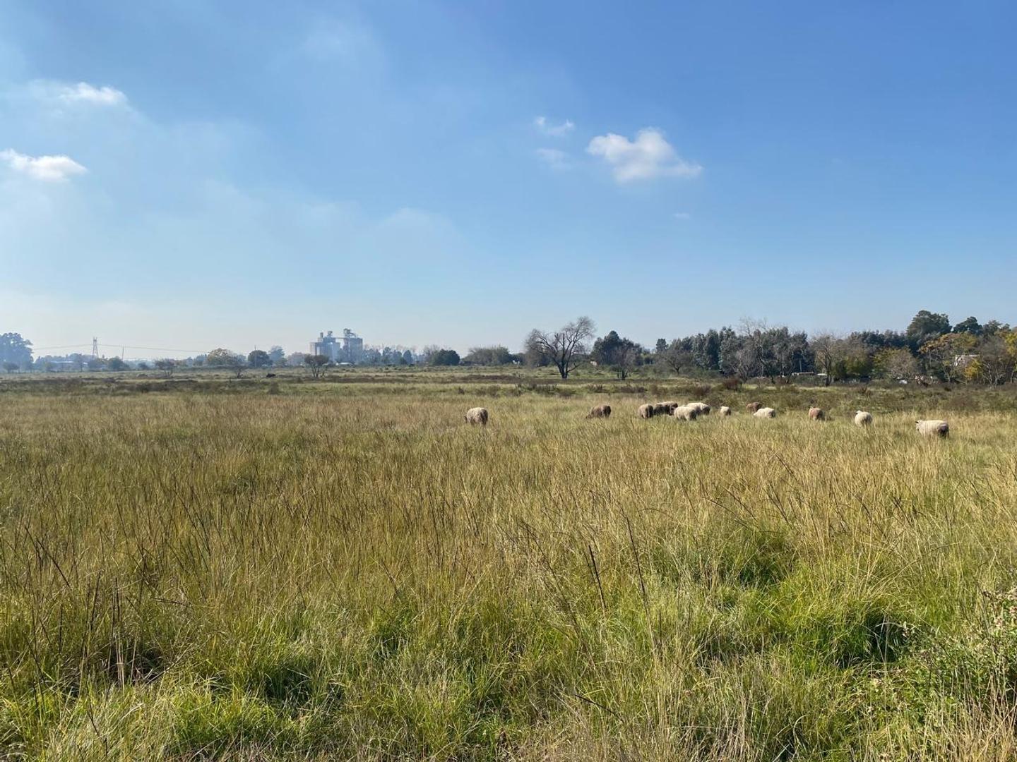 Foto de Terreno en Venta en Nueva Zelaya 3, imagen 4