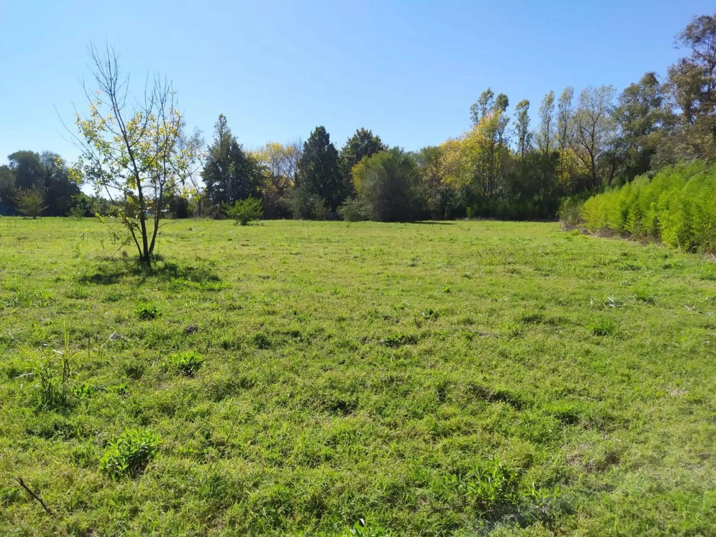 Foto de Quinta con terreno de 150m x 195m, imagen 2