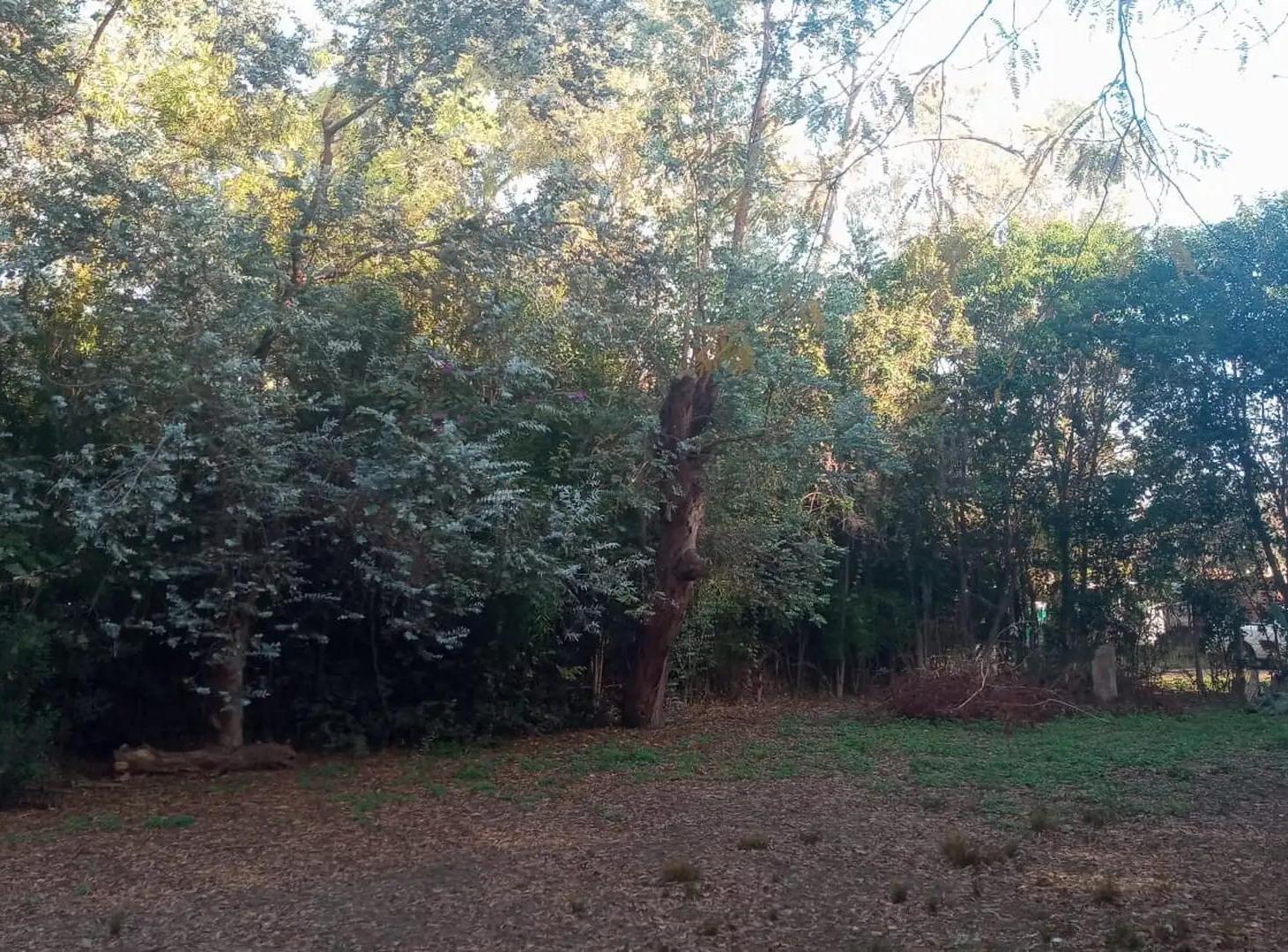 Foto de Lote 5400m2 Thames 700 - Villa Rosa Pilar. Casa de 60m2. FOT, imagen 1