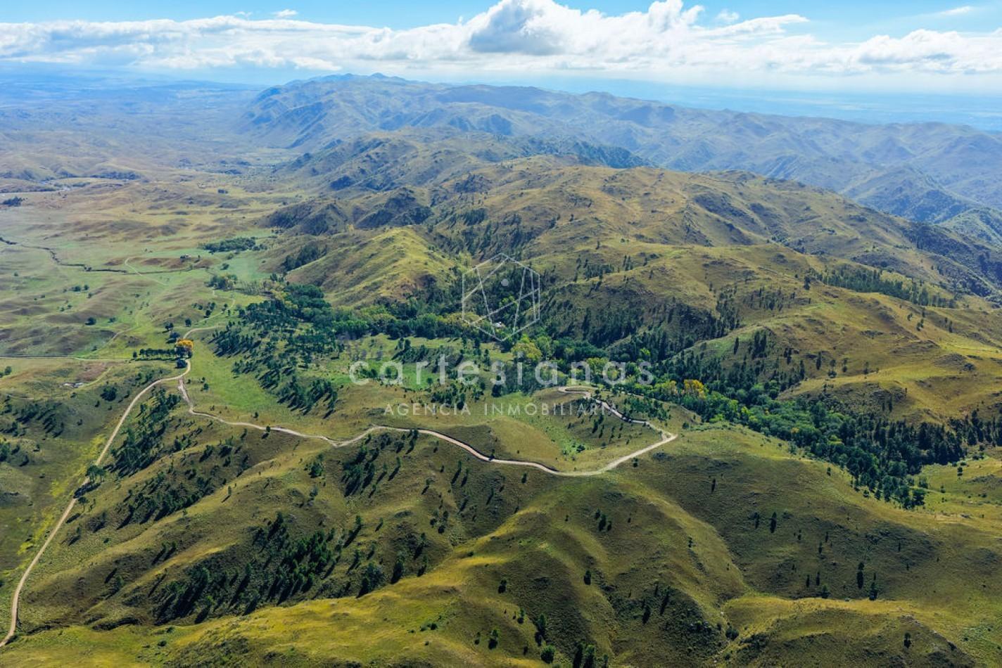 Foto de POTRERO DE GARAY | CAMPO DE 80 HECTAREAS + CASA DE 4 DORM+CASA DE, imagen 2
