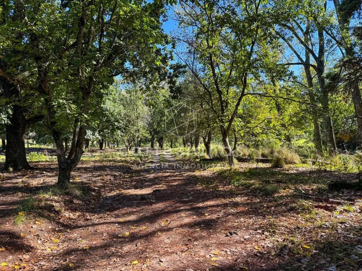POTRERO DE GARAY | CAMPO DE 80 HECTAREAS + CASA DE 4 DORM+CASA DE SERVICIO+GALPON 5