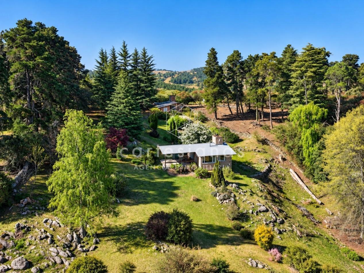 Foto de VILLA BERNA. EN VENTA PROPIEDAD DE 2,5 HECTAREAS CON 2 CABAÑAS., imagen 3
