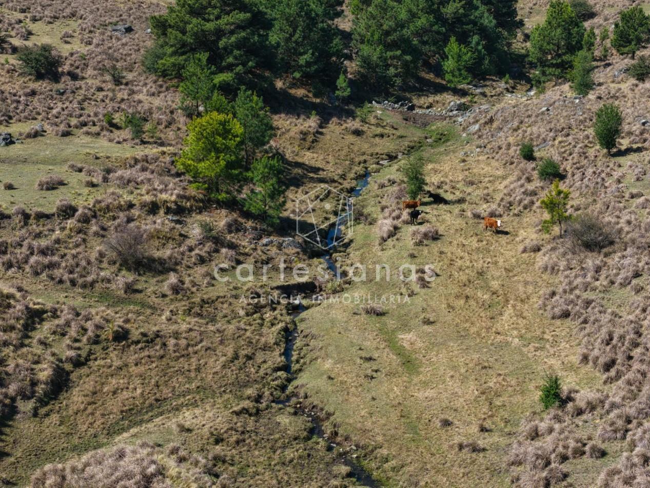 Foto de VILLA BERNA. 50 HECTAREAS APTAS PARA VIÑEDO, EMPRENDIMIENTO., imagen 4