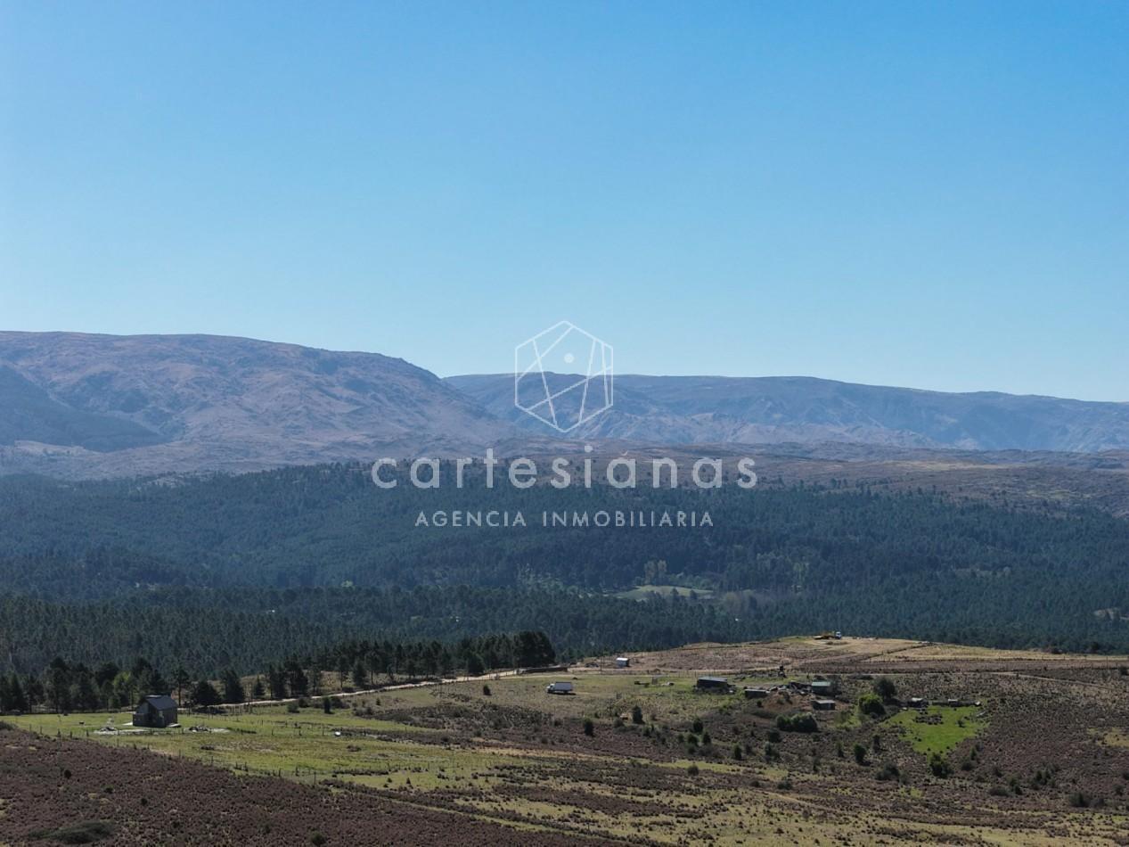 Foto de VILLA BERNA. 50 HECTAREAS APTAS PARA VIÑEDO, EMPRENDIMIENTO., imagen 3