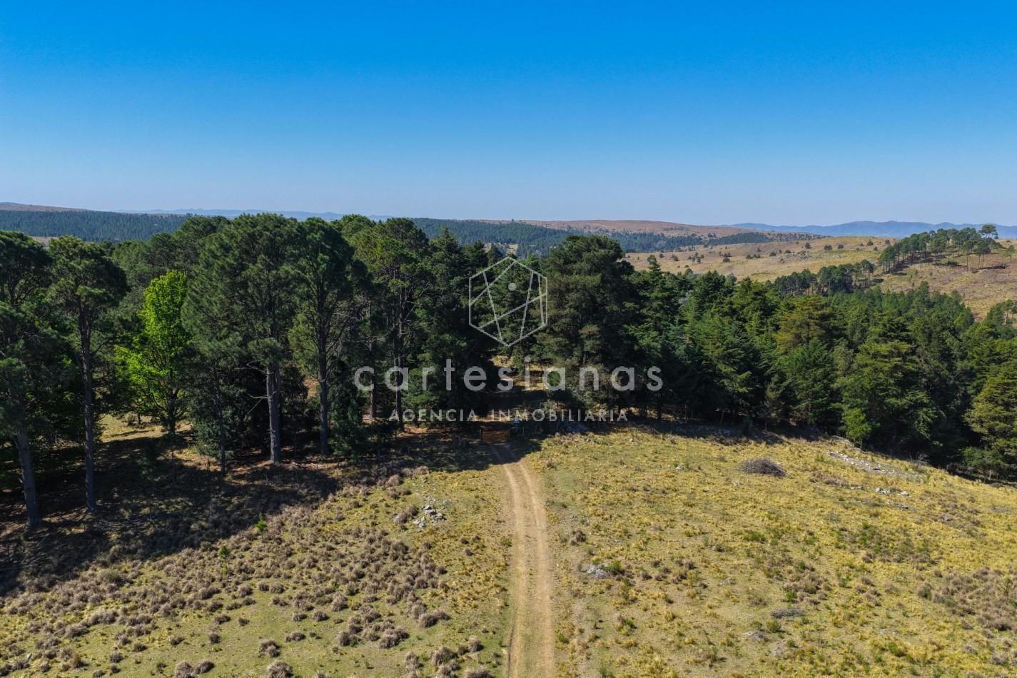 Foto de VILLA BERNA. 50 HECTAREAS APTAS PARA VIÑEDO, EMPRENDIMIENTO., imagen 1