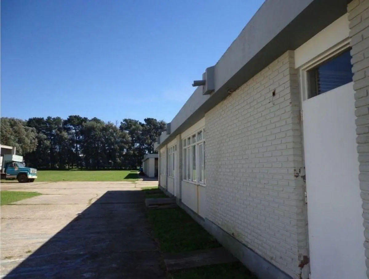 PLANTA EN VENTA 4
