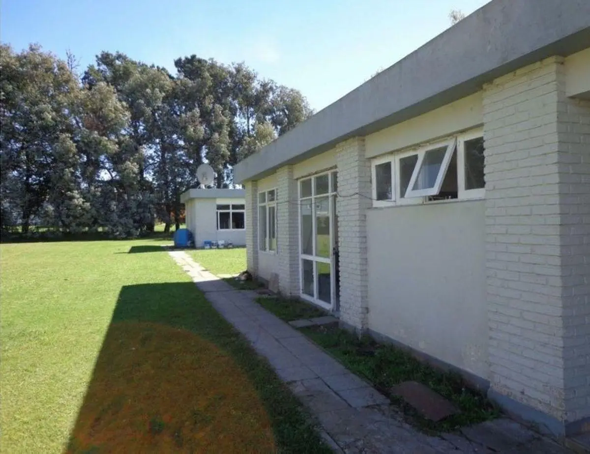 PLANTA EN VENTA 2