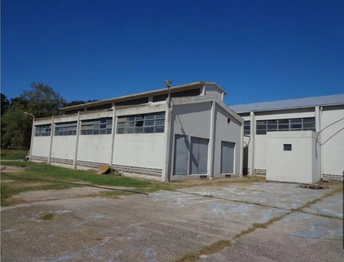 PLANTA EN VENTA 3