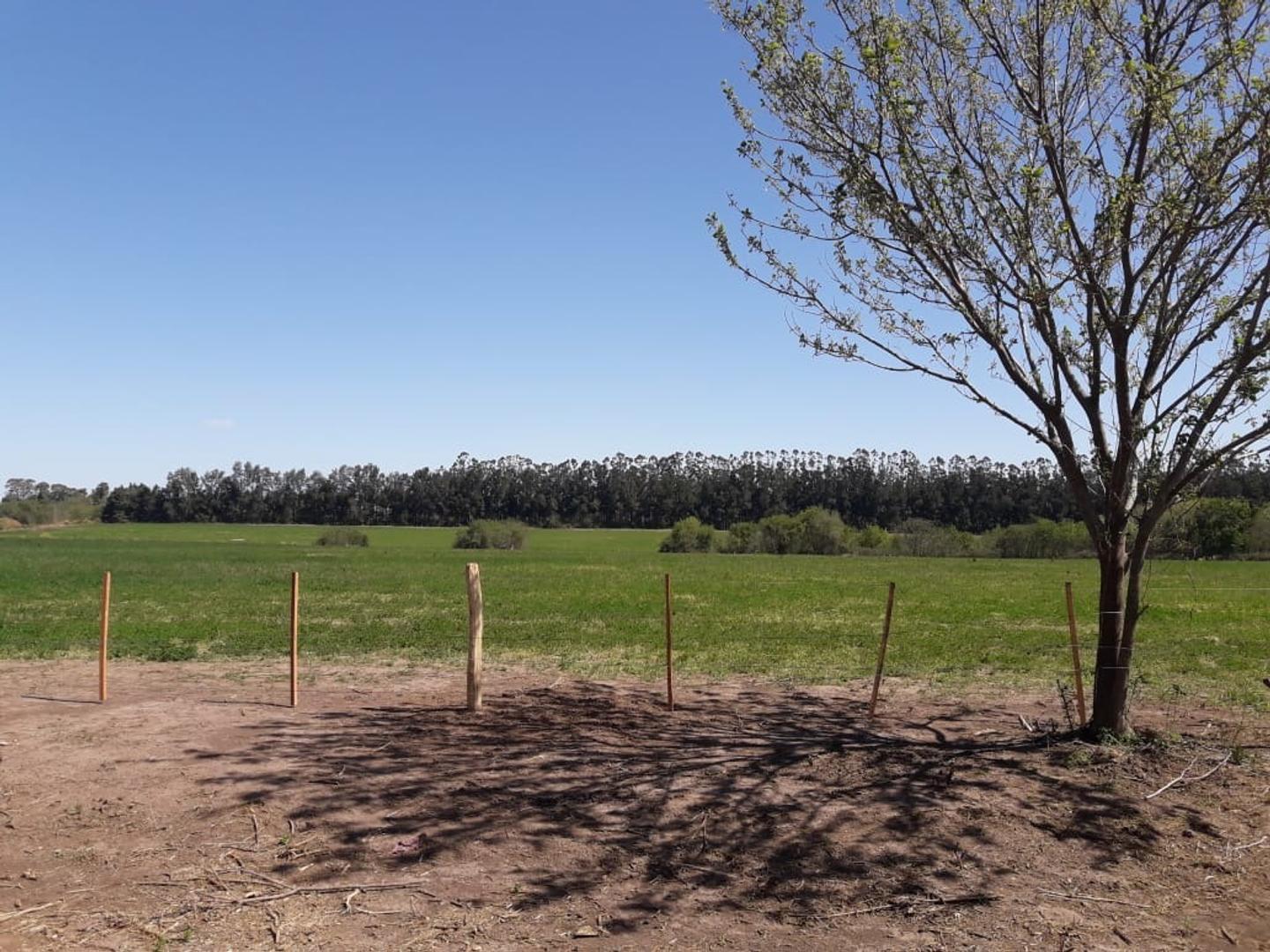 Foto de TERRENO EN VENTA EN BARADERO COLONIA SUIZA, imagen 4