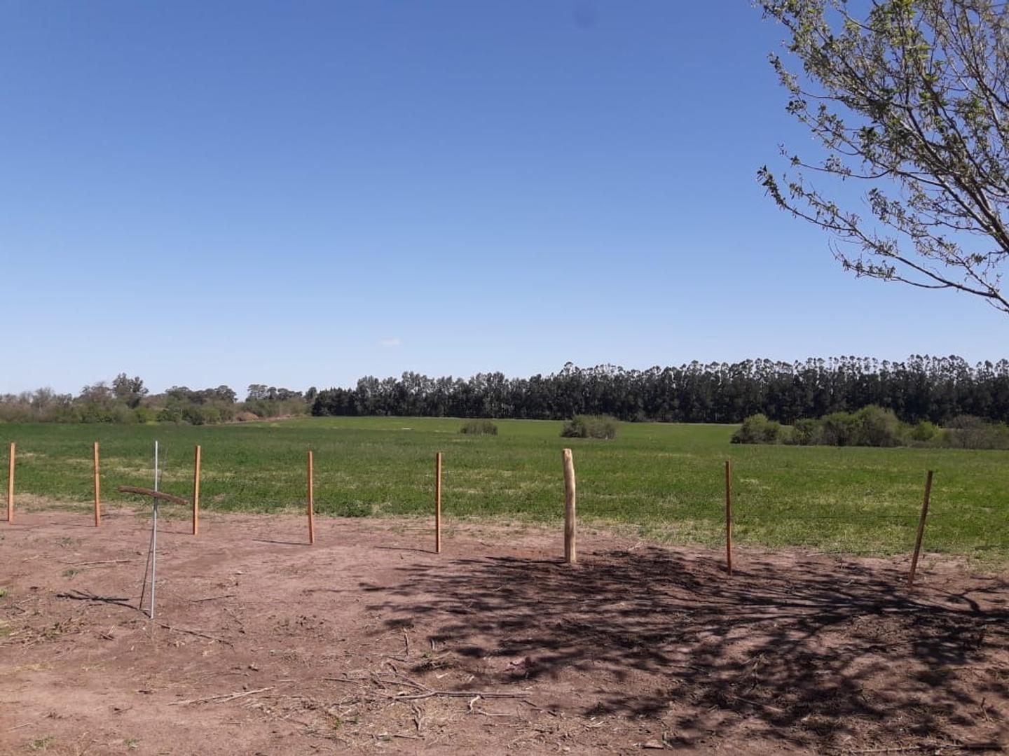 Foto de TERRENO EN VENTA EN BARADERO COLONIA SUIZA, imagen 3