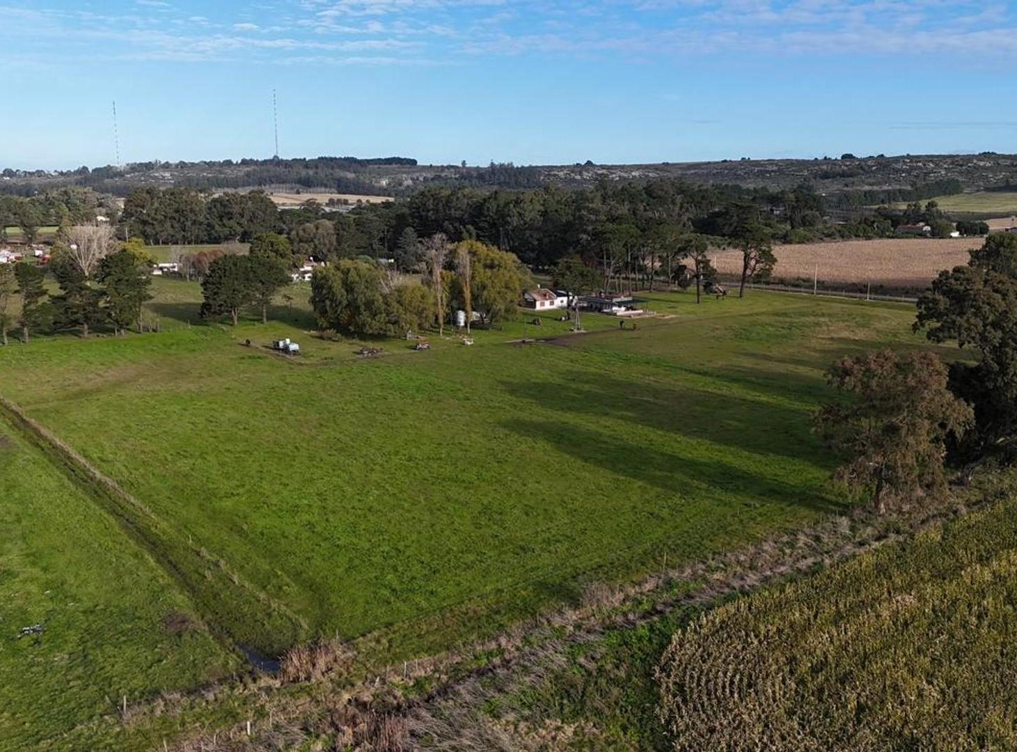 Foto de CAMPO EN VENTA | 6.5 HA EN SIERRA DE LOS PADRES, imagen 5