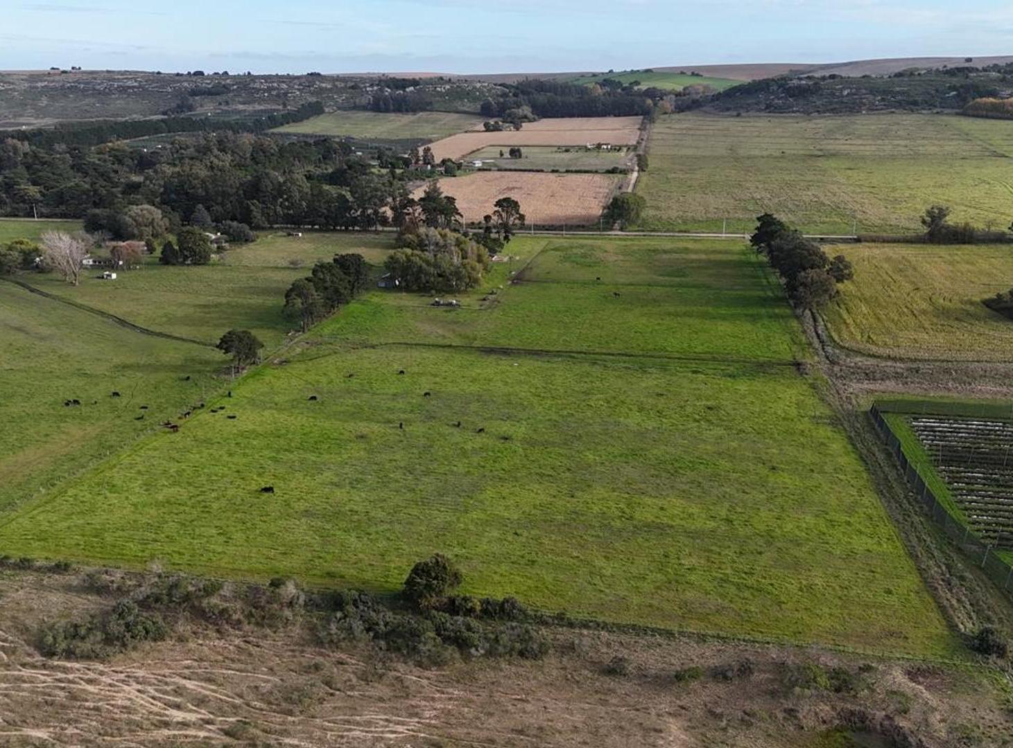 CAMPO EN VENTA | 6.5 HA EN SIERRA DE LOS PADRES
