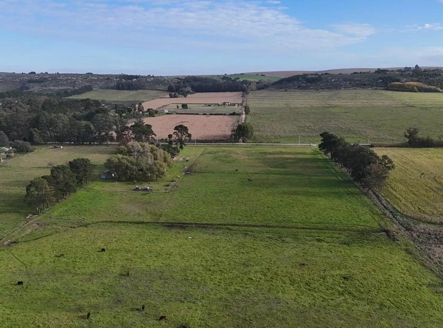 CAMPO EN VENTA | 6.5 HA EN SIERRA DE LOS PADRES 4
