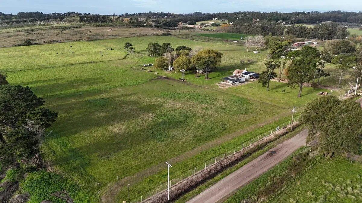 Foto de Campo En Venta | 6.5 Ha En Sierra De Los Padres, imagen 4