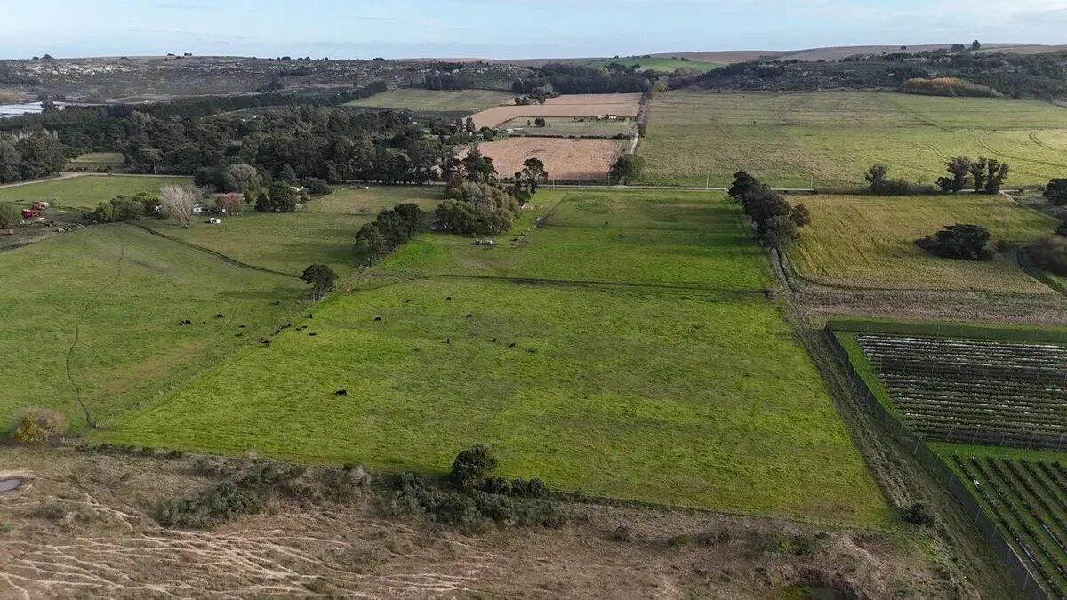 Foto de Campo En Venta | 6.5 Ha En Sierra De Los Padres, imagen 1