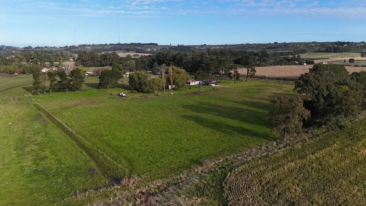 Foto de Campo En Venta | 6.5 Ha En Sierra De Los Padres, imagen 5