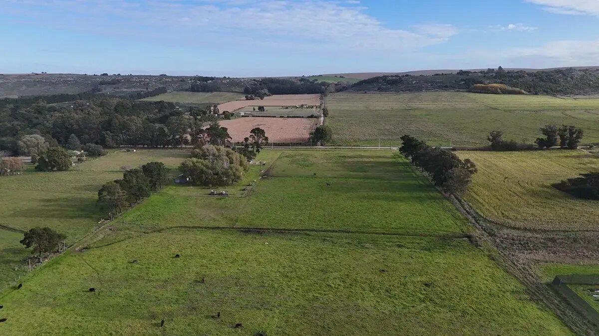 Foto de Campo En Venta | 6.5 Ha En Sierra De Los Padres, imagen 3