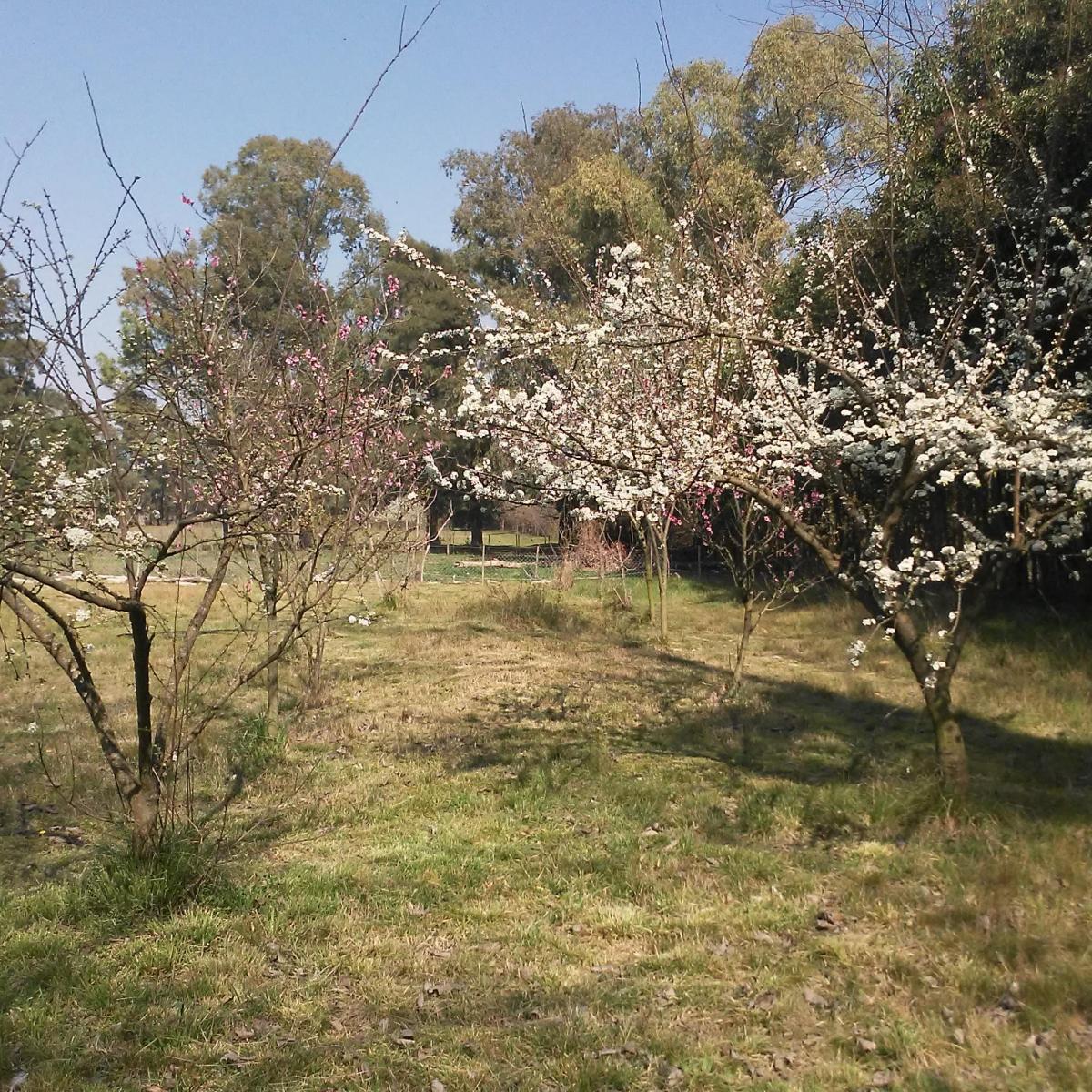 Chacra en Marcos Paz, de 3,3 Hectáreas, Casa Principal, Caseros, Galpones 1