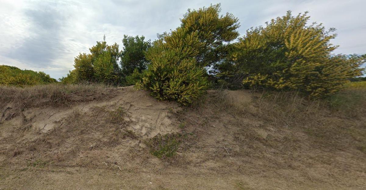 Terreno - Venta - Colonia Marina - Zona Comercial 5
