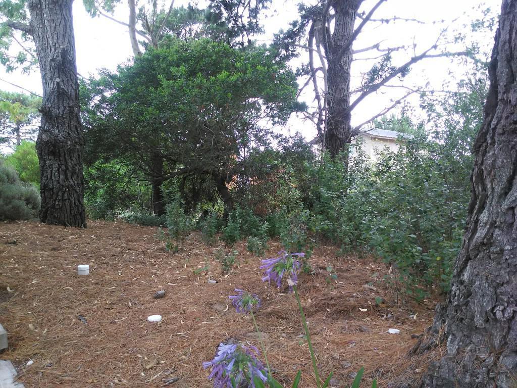 Terreno - Venta - Las Gaviotas 5