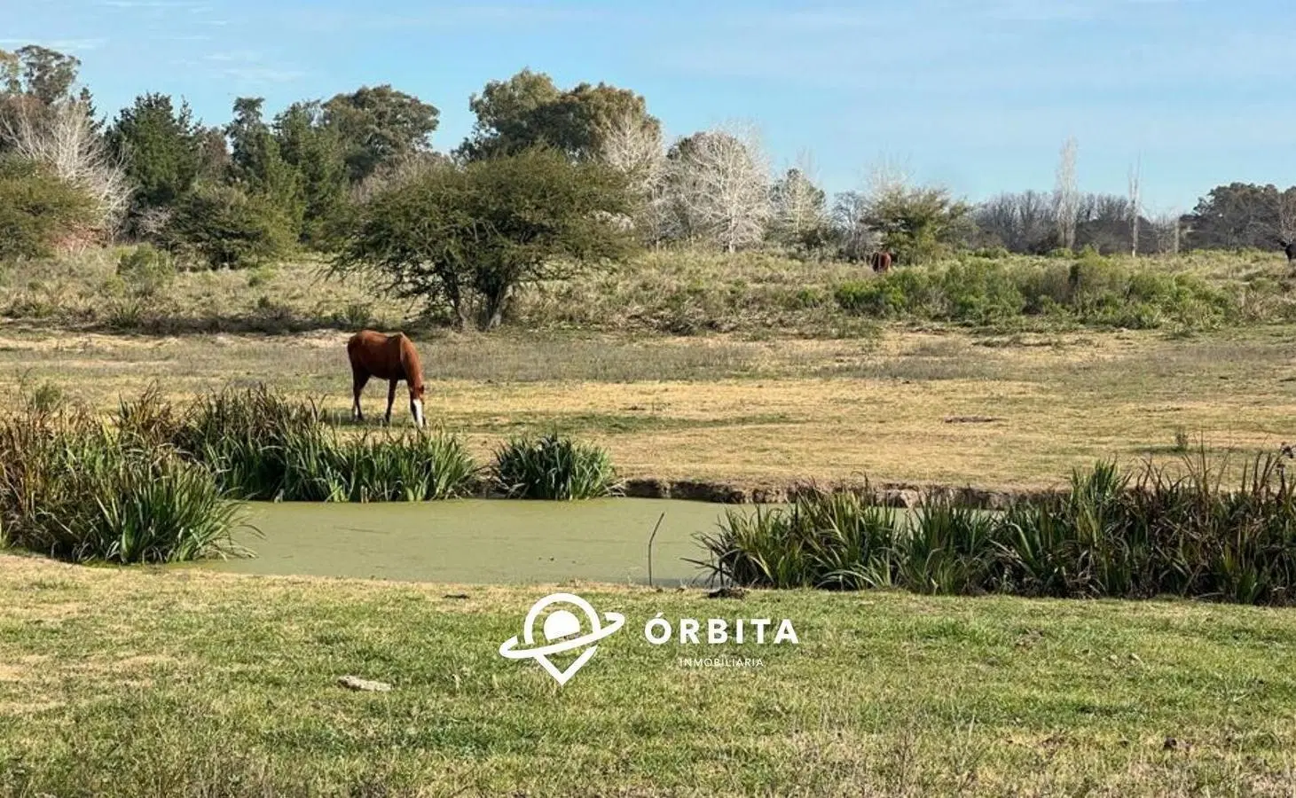 Lote interno al verde en venta en Estancia Carabassa, Pilar 1