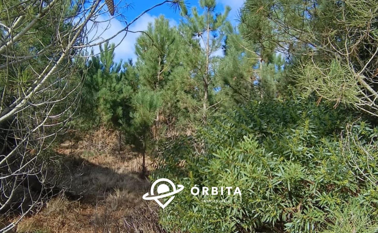 Foto de Lote en venta en Costa Esmeralda barrio Ecuestre lote 3, imagen 5