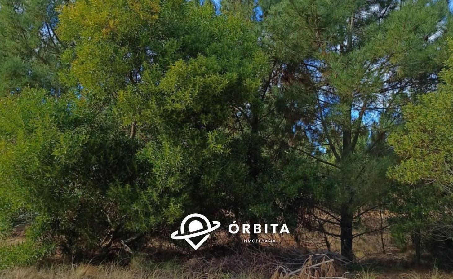 Foto de Lote en venta en Costa Esmeralda barrio Ecuestre lote 3, imagen 3