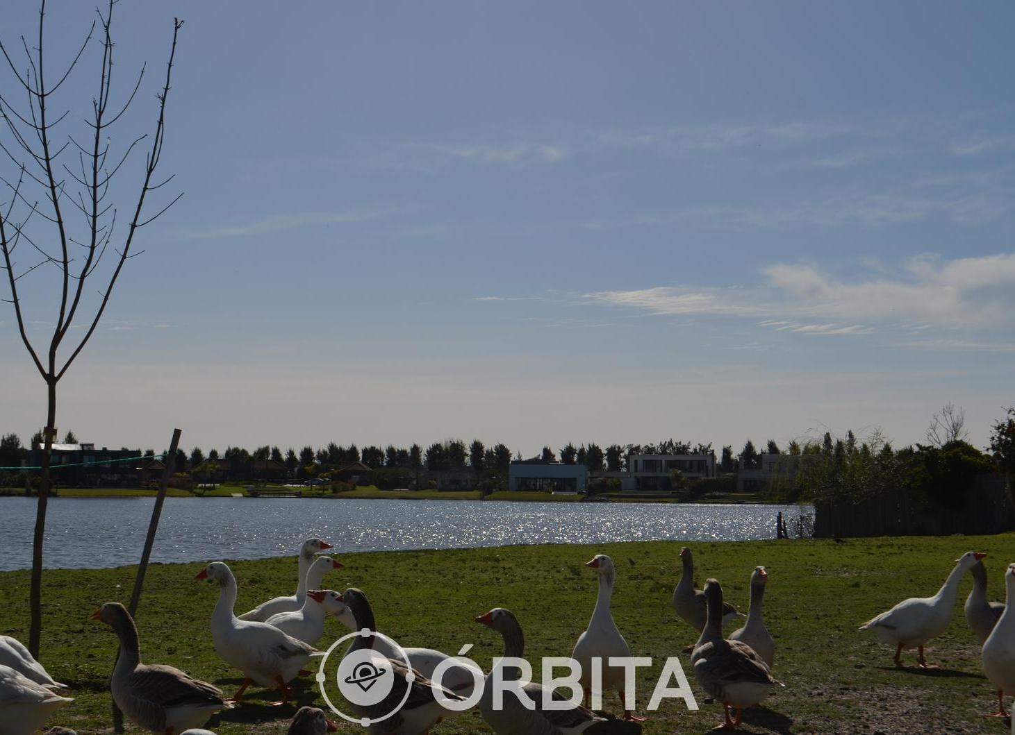 Foto de Lote en venta en Barrio San Gabriel, Villanueva, Tigre, laguna, imagen 3