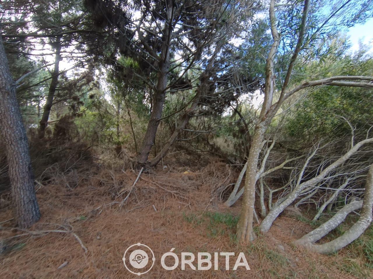 Foto de Lote en venta en Costa Esmeralda, Barrio Golf II, imagen 3