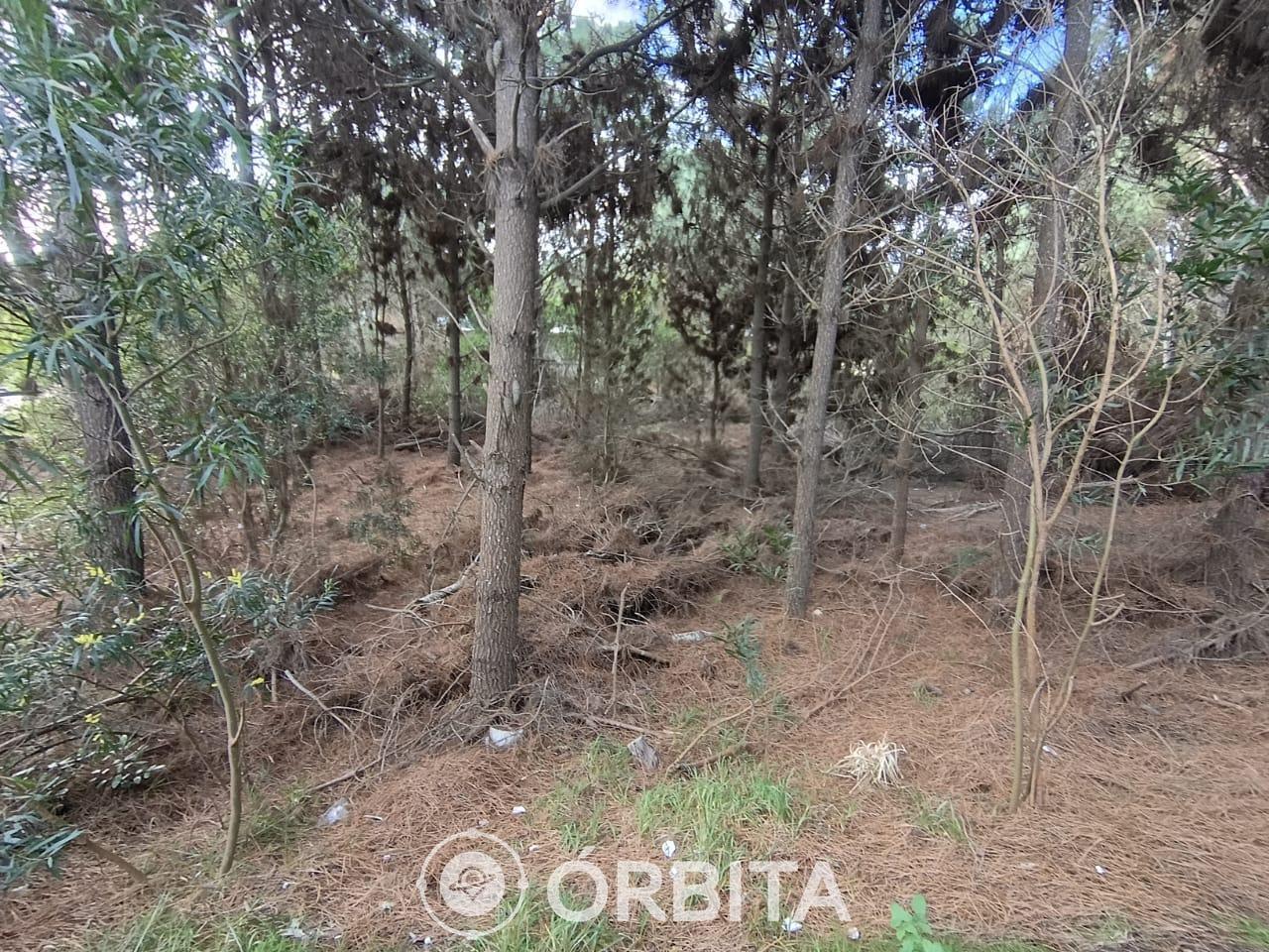 Foto de Lote en venta en Costa Esmeralda, Barrio Golf II, imagen 2