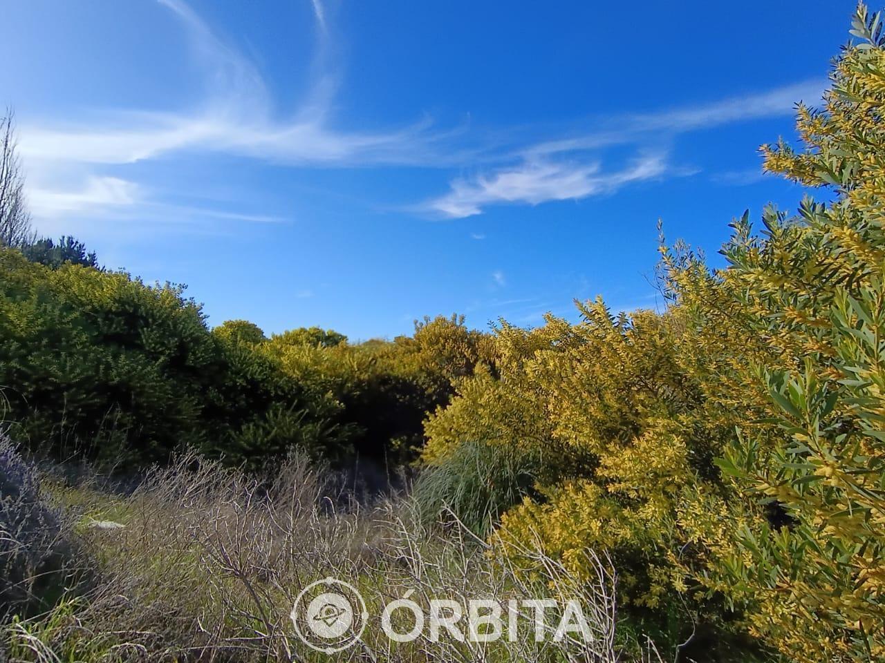 Foto de Lote en venta en Costa Esmeralda, Barrio Golf I, imagen 5