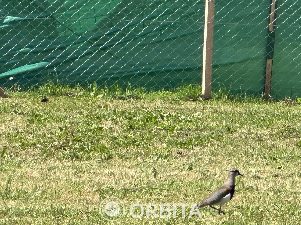 Foto de Lote en venta en Santa Sofía, Pilar del Este, imagen 5