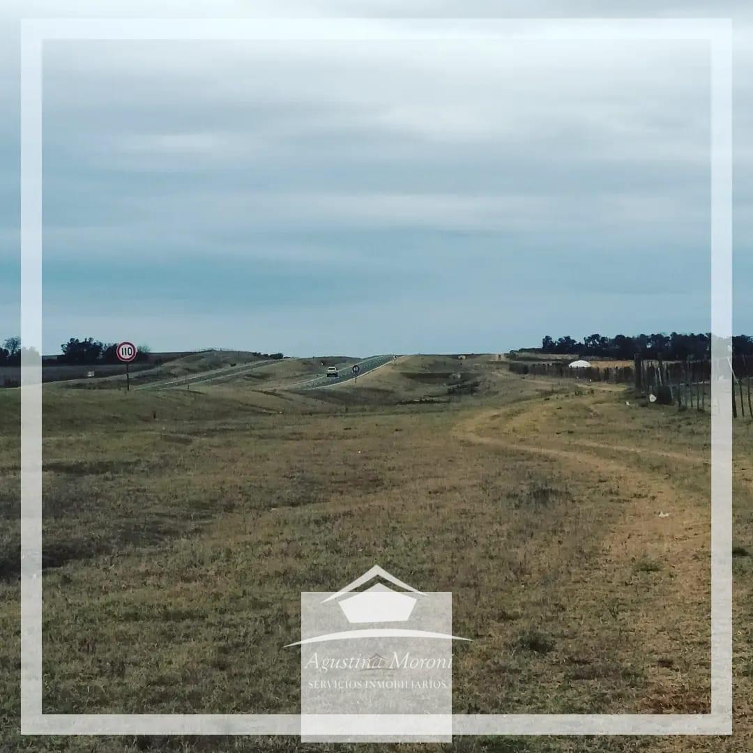Foto de Importante campo sobre autovia 36, imagen 1